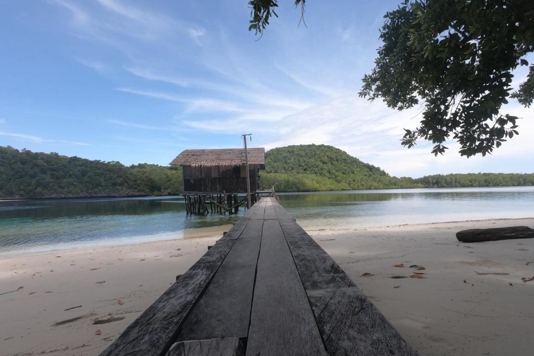 Photo of Others in Raja Ampat