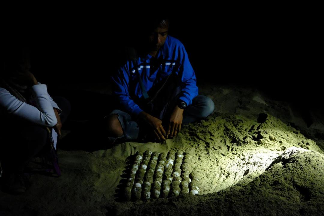 Photo of Others in Sarongan