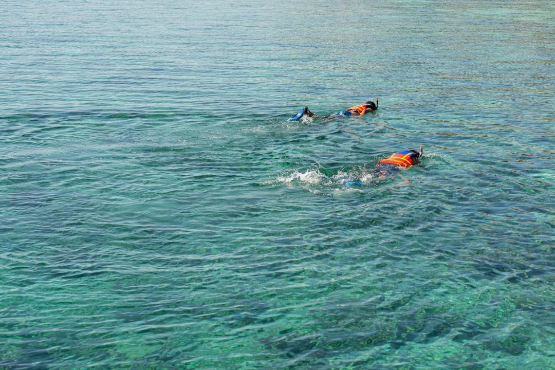 Photo of Others in Labuan Bajo