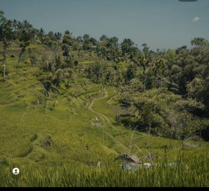 Photo of Others in Tetebatu