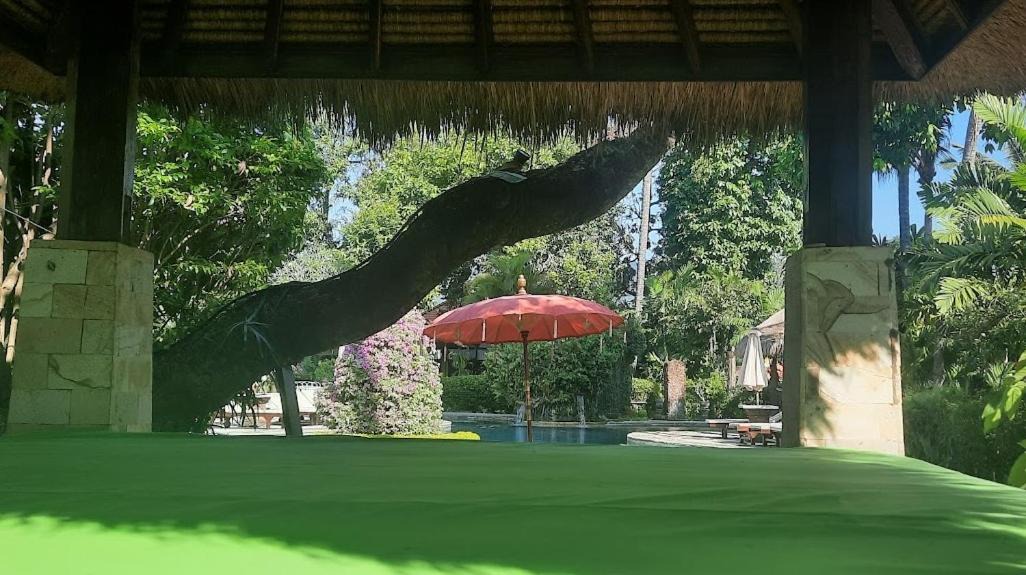Photo of Others in Lovina