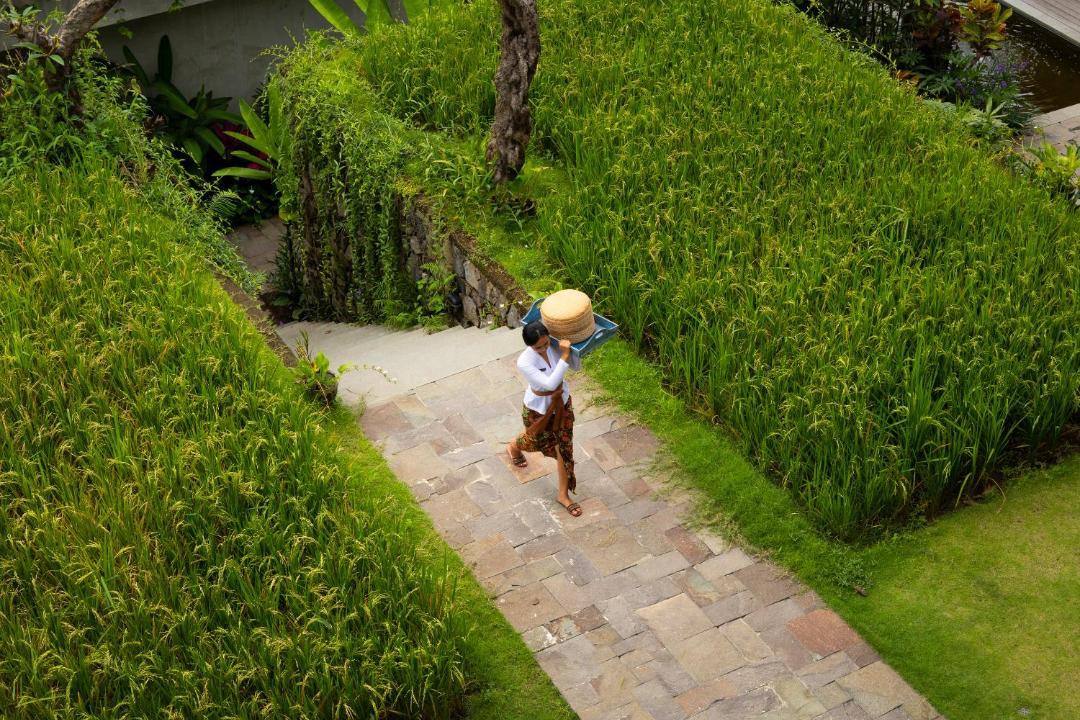 Photo of Others in Ubud