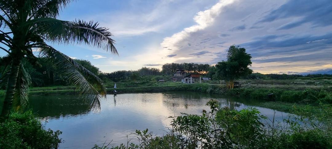Photo of Outdoor in North Padang Lawas