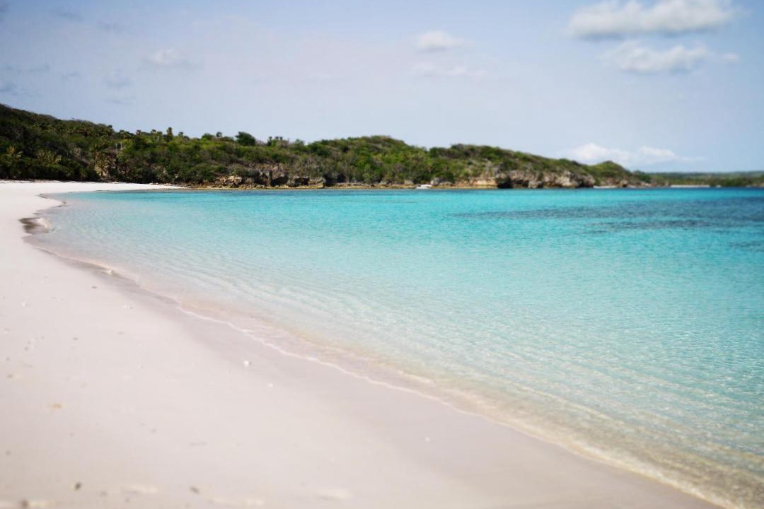 Photo of Others in Rote Island