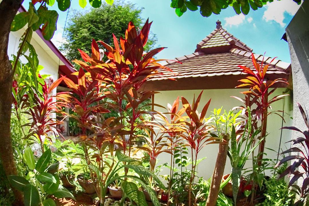 Photo of Others in Karimunjava