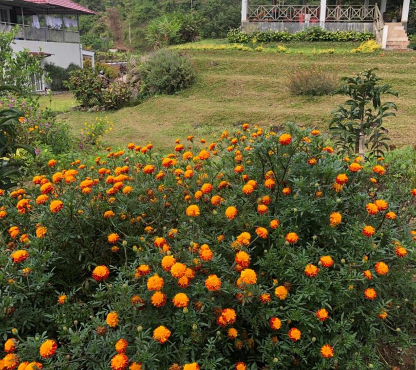 Photo of Others in Tomohon