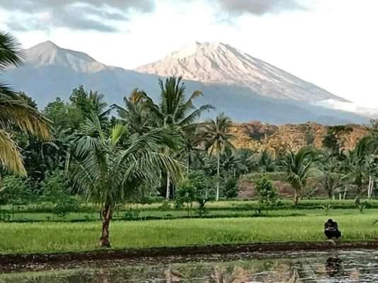 Photo of Others in Kecamatan Montong Gading