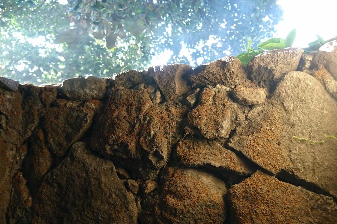 Photo of Others in Catur Tunggal
