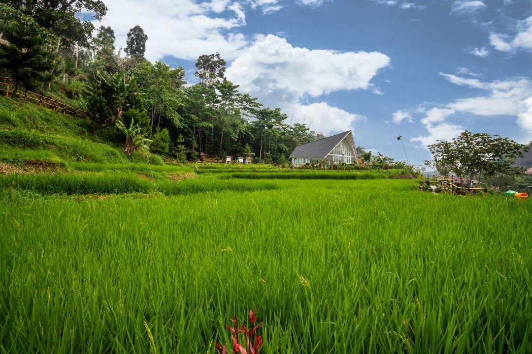 Photo of Others in Cipanas