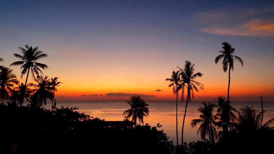 Photo of Others in Tomia Island