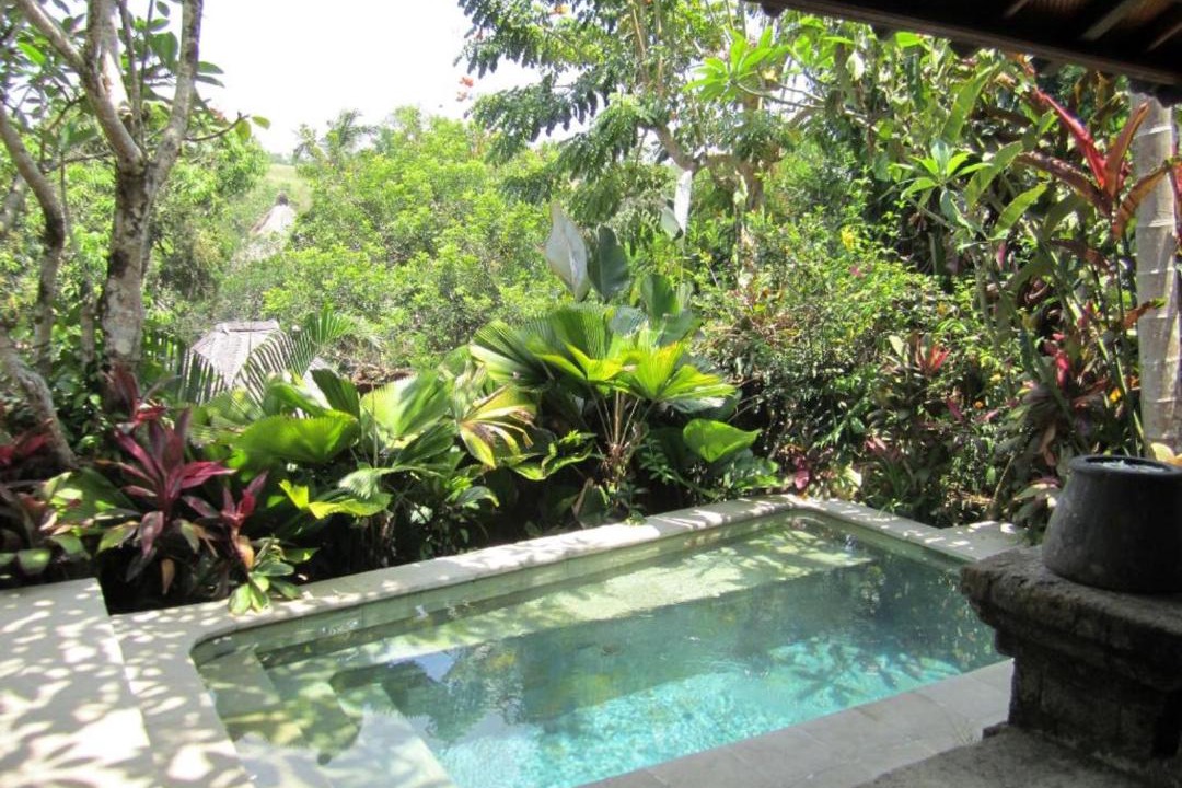Photo of Others in Ubud