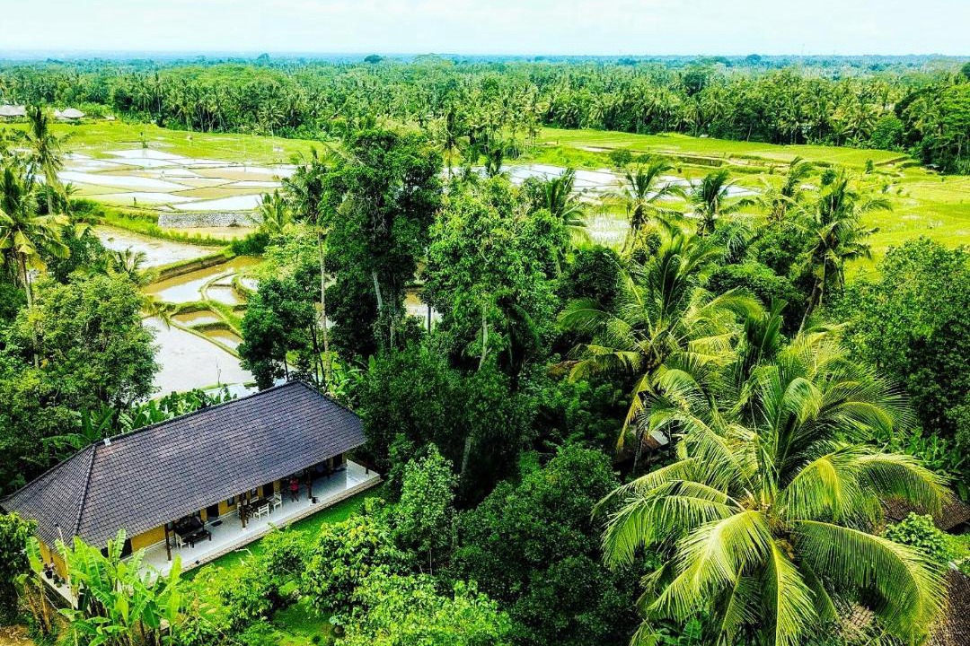 Photo of Others in Payangan