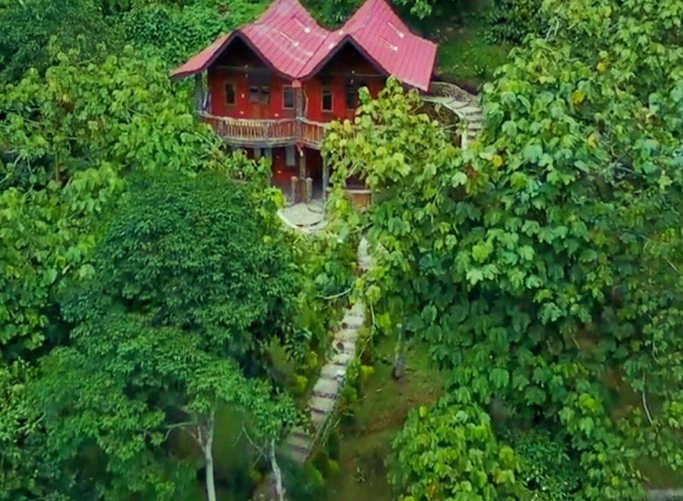 Photo of Others in Bukit Lawang