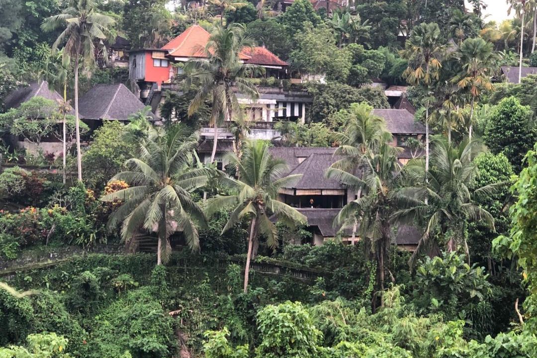 Photo of Others in Ubud