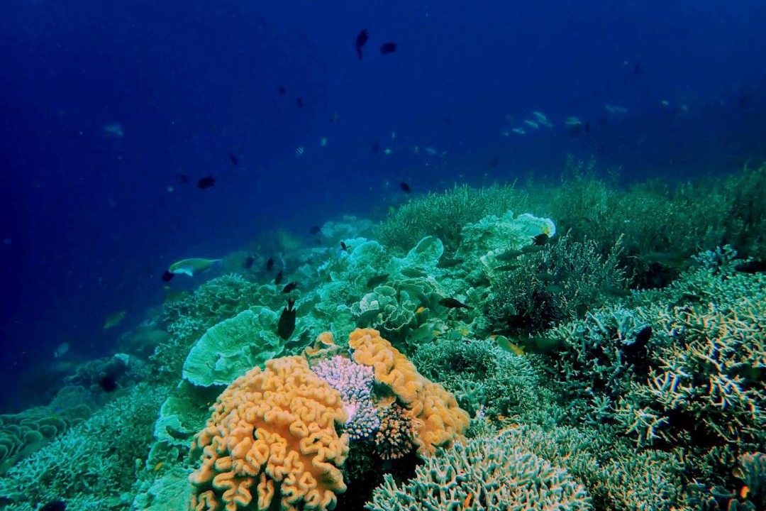 Photo of Outdoor in Yef Mo