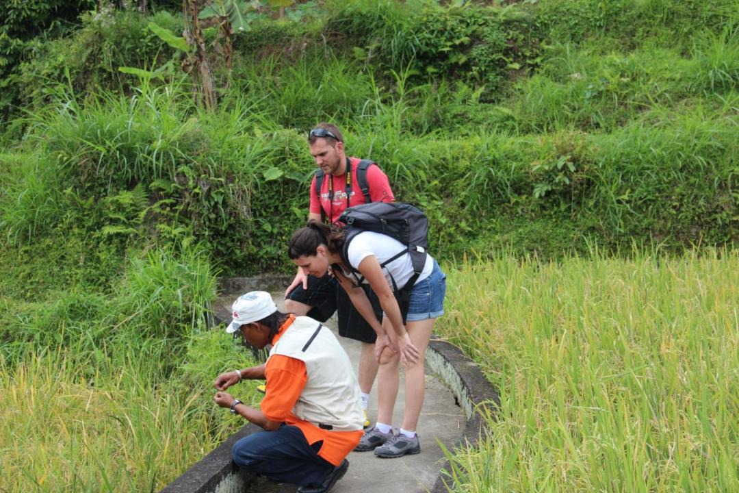 Photo of Others in Undisan