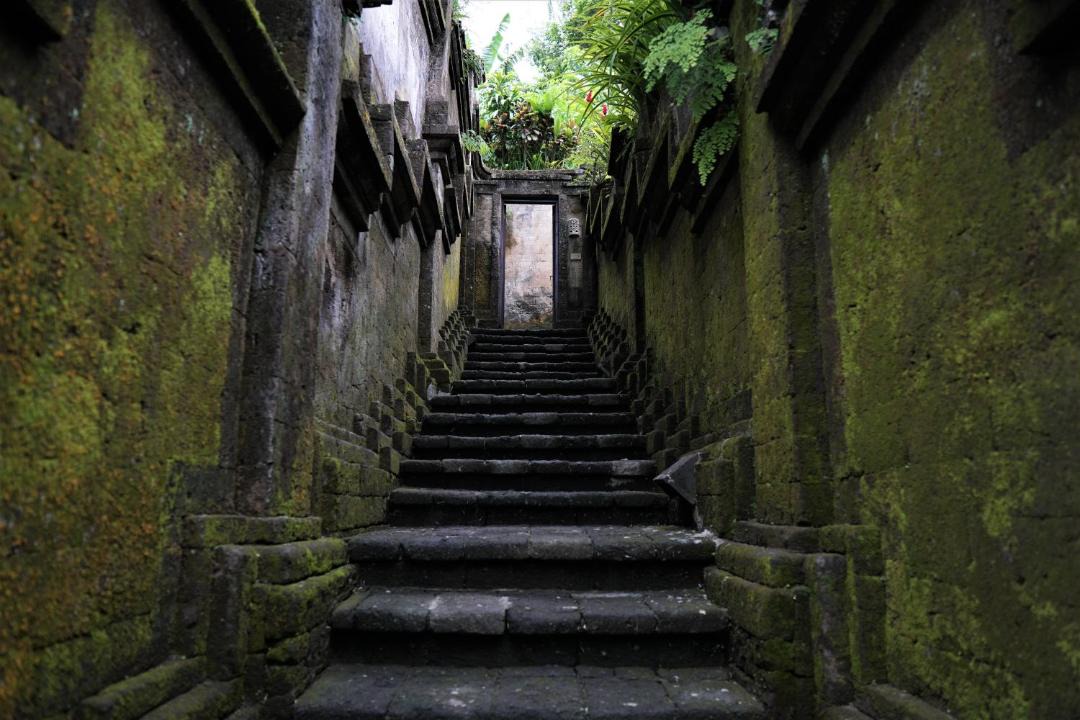 Photo of Others in Ubud