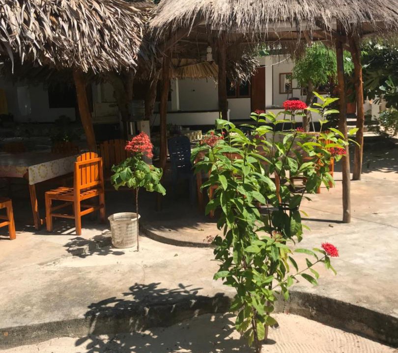 Photo of Others in Rote Island