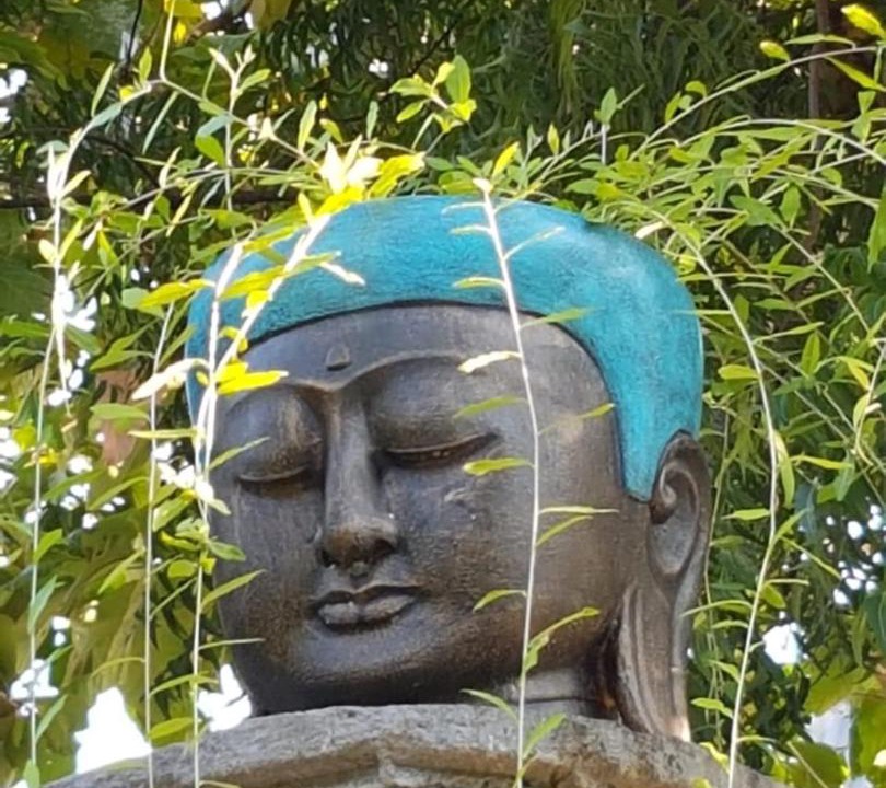 Photo of Others in Temukus