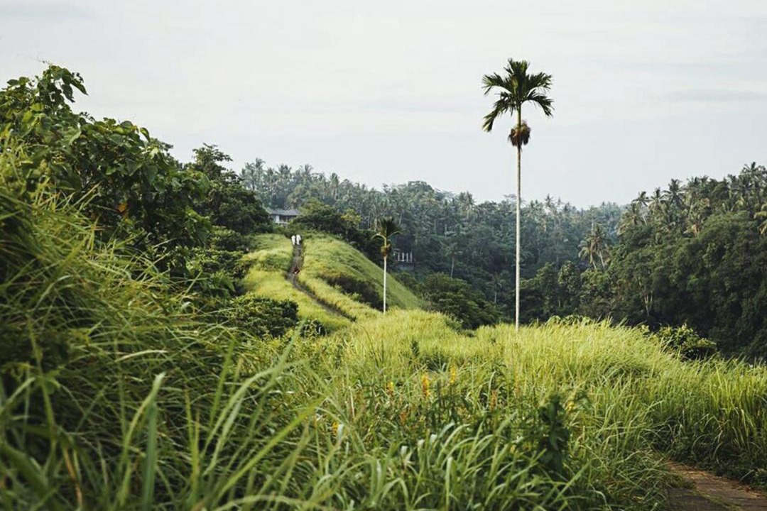 Photo of Others in Penestanan