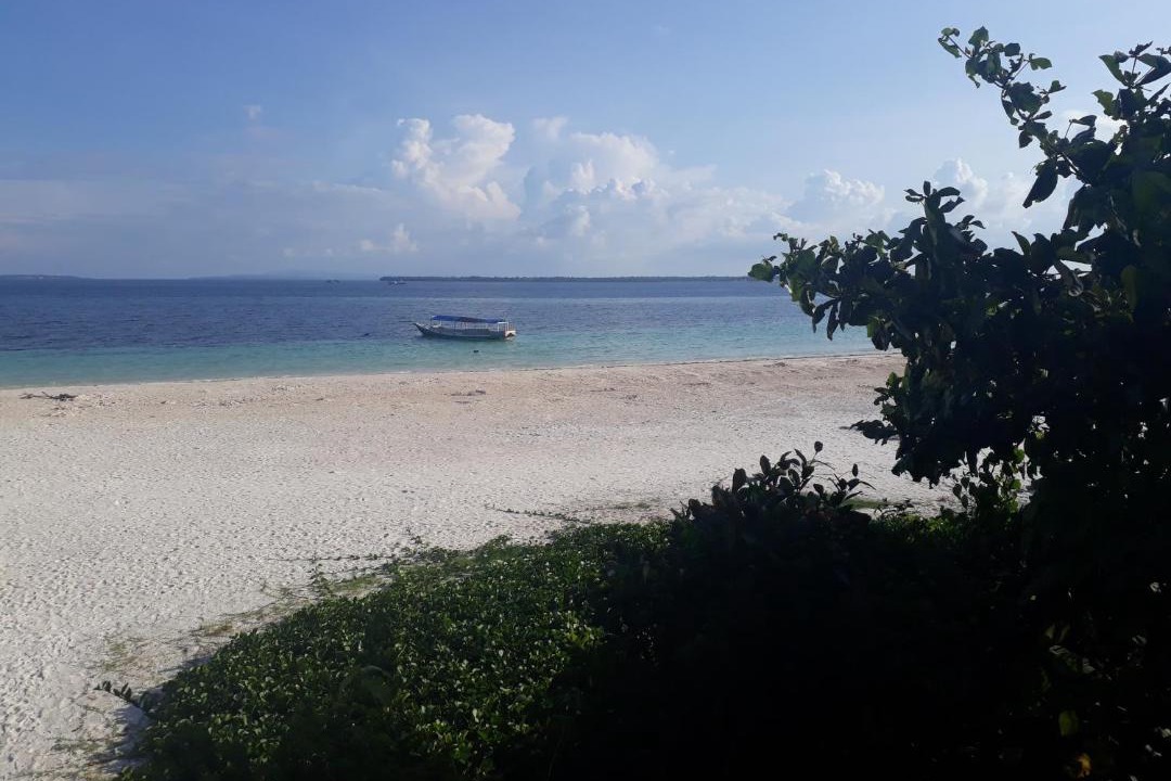 Photo of Others in Bira