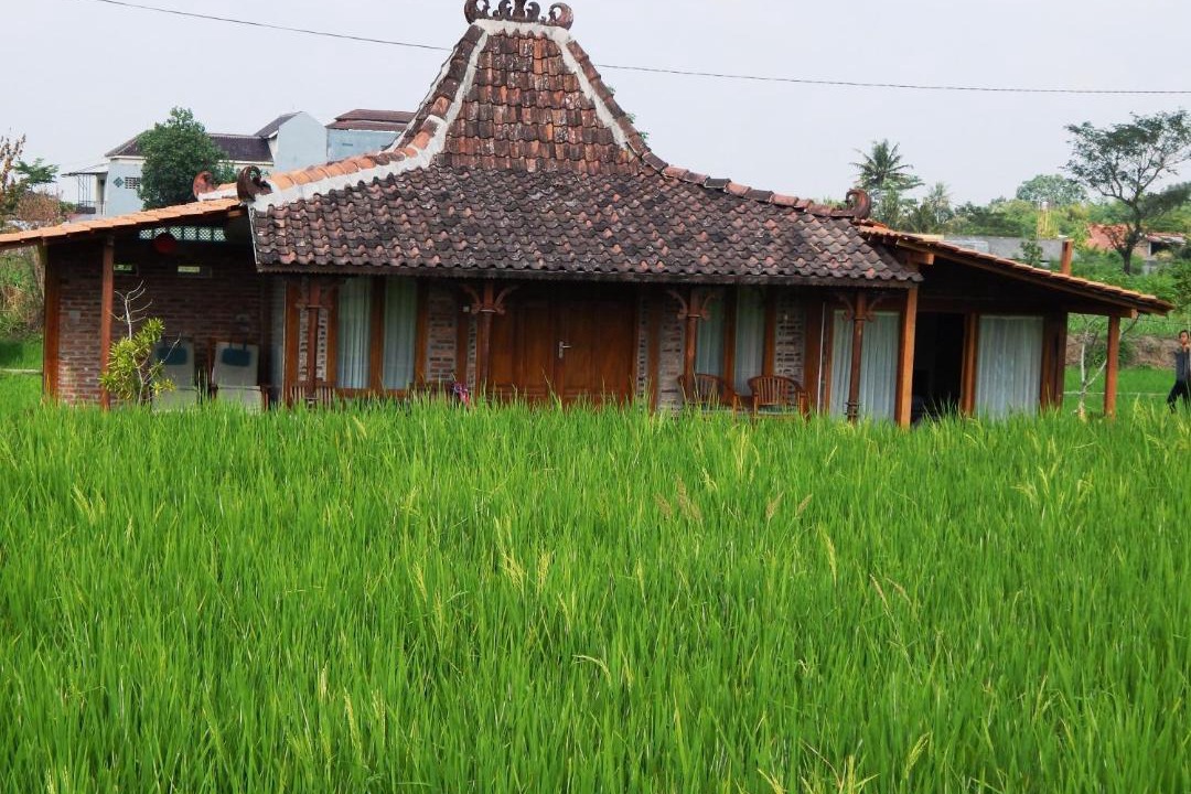 Photo of Others in Sleman