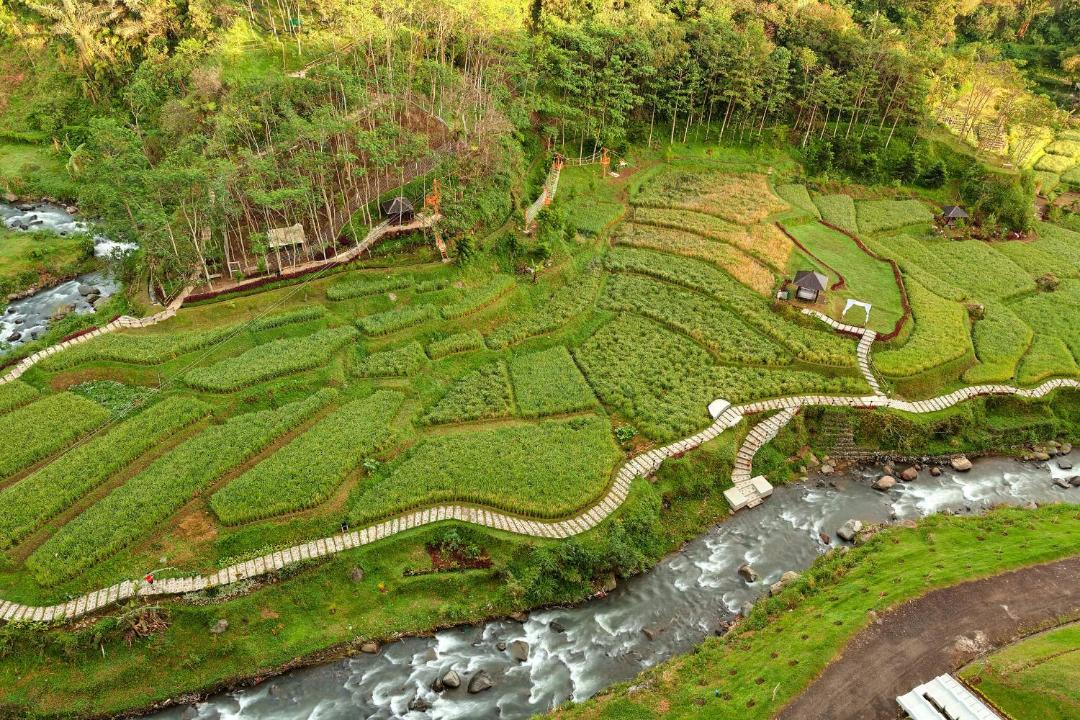 Photo of Others in Cipanas