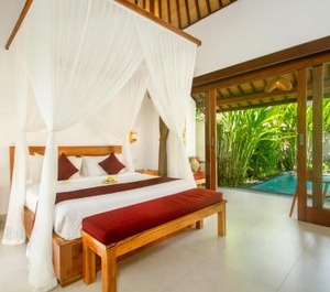 Ubud Valley Atmosphere 