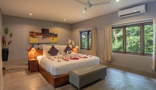 One Bedroom Rose