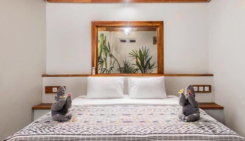 Deluxe Double Room, Garden View