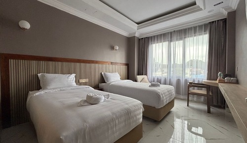 Deluxe Double or Twin Room, Mountain View