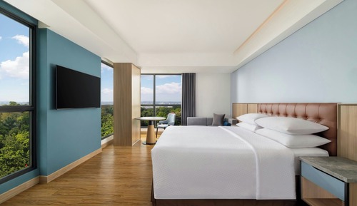 Suite, 1 King Bed, City View