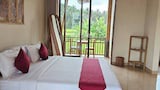 Villa Rice Field View
