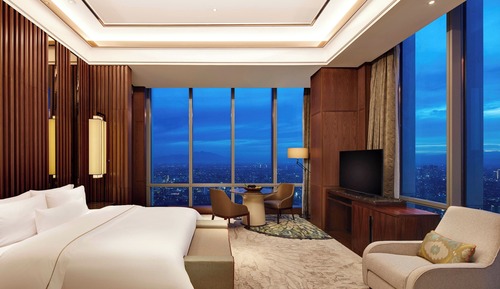 Presidential Suite, 1 Bedroom