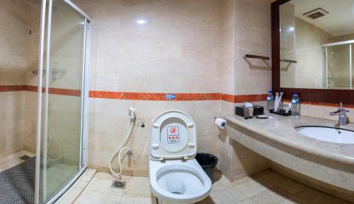 Superior Double or Twin Room