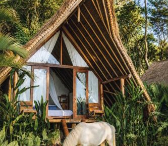 Eco Villas Beach Front