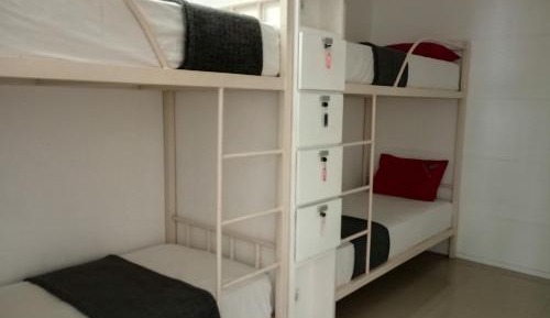 4-Bed Mixed Dormitory Room