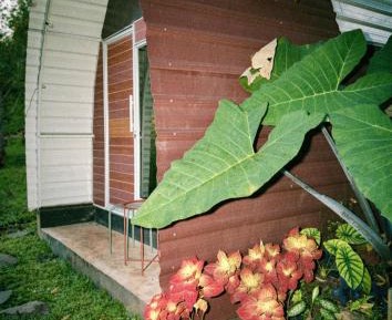 Deluxe Bungalow