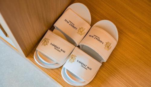 Deluxe Double or Twin Room with Pool Access