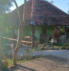 Double Room with Patio