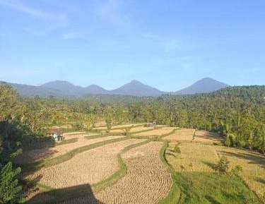 Deluxe Balcony Room with Free Shuttle to Munduk