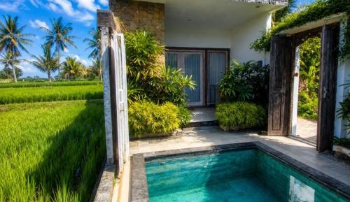 One-Bedroom Villa