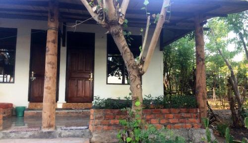 Double Room with Patio
