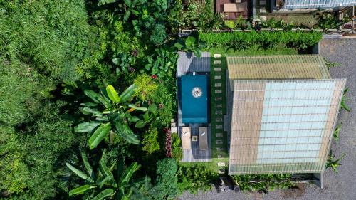 One-Bedroom Villa with Jungle View