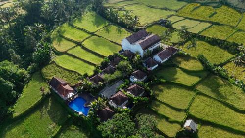 One Bedroom Private Pool Villa with Paddies View