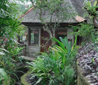 Treetops Lodge with Afternoon Tea