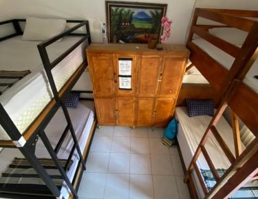 Bunk Bed in Mixed Dormitory Room