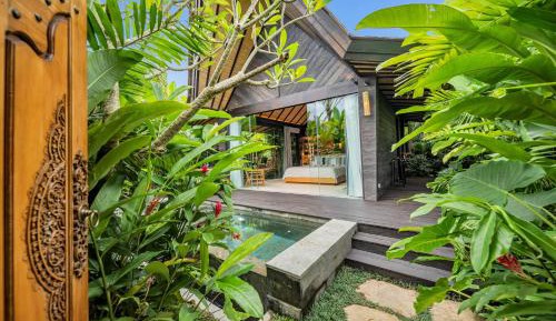 Jabu with Plunge Pool