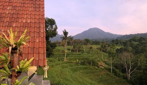 Double Room with Mountain View