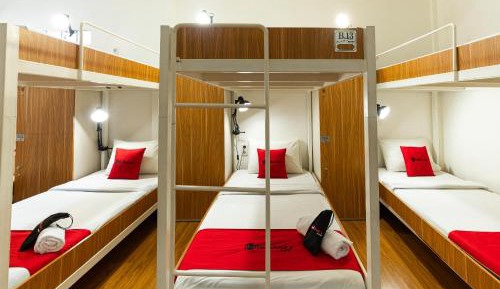 Bunk Bed in Female Dormitory Room  